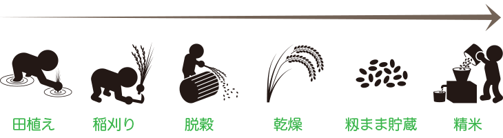 籾まま貯蔵米と言う名のNK2 FARMのお米の由来は、お米の保存を玄米ではなく籾のまま行うことから名づけられています。